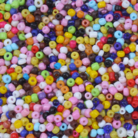 Mixed Glass Seed Beads