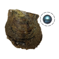 Perles d'huîtres perles de mer Akoya cultivées