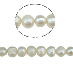 Bulvių išauginti gėlavandenių perlų karoliukai, Gėlo vandens perlų, Bulvė, natūralus, baltas, 6-7mm, Skylė:Apytiksliai 0.8mm, Parduota už Apytiksliai 14.3 Inch Strand