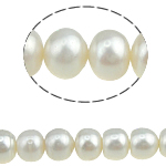 Tlačítko kultivované sladkovodní Pearl Beads, bílý, 8-9mm, Otvor:Cca 0.8mm, Prodáno za 15.5 inch Strand