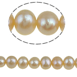 Perlas Redondas Freshwater, Perlas cultivadas de agua dulce, Esférico, natural, Rosado, 5-6mm, agujero:aproximado 0.8mm, Vendido para 15 Inch Sarta