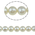Apvalūs Kultūringas gėlavandenių perlų karoliukai, Gėlo vandens perlų, Turas, natūralus, baltas, Įvertinimas A., 6-7mm, Skylė:Apytiksliai 0.8mm, Parduota už 15.5 Inch Strand