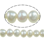Bulvių išauginti gėlavandenių perlų karoliukai, Gėlo vandens perlų, Bulvė, natūralus, baltas, Įvertinimas, 3-4mm, Skylė:Apytiksliai 0.8mm, Parduota už Apytiksliai 14.3 Inch Strand