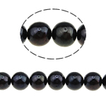 Runde ferskvandskulturperle Beads, Ferskvandsperle, naturlig, sort, Grade AA, 9-10mm, Hole:Ca. 0.8mm, Solgt Per 15 inch Strand