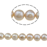 Perles de nacre rondes de culture d'eau douce, perle d'eau douce cultivée, naturel, rose, grade A, 10-11mm, Trou:Environ 0.8mm, Vendu par 15 pouce brin