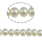 Pulsante coltivate in acqua dolce Perla, perla d'acquadolce coltivata naturalmente, Cerchio, bianco, 6-7mm, Foro:Appross. 0.8mm, Venduto per 14.5 pollice filo