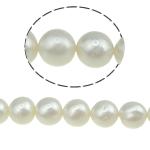 Runde ferskvandskulturperle Beads, Ferskvandsperle, naturlig, hvid, Grade AA, 8-9mm, Hole:Ca. 0.8mm, Solgt Per 15 inch Strand