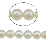 Perles de nacre rondes de culture d'eau douce, perle d'eau douce cultivée, naturel, blanc, Niveau AA, 9-10mm, Trou:Environ 0.8mm, Vendu par 15 pouce brin