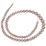 Apvalūs Kultūringas gėlavandenių perlų karoliukai, Gėlo vandens perlų, Turas, natūralus, rožinis, Įvertinimas A., 3.5-9mm, Skylė:Apytiksliai 0.5mm, Parduota už 15.5 Inch Strand