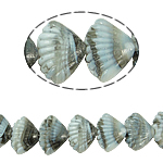 Perles murano faites à la main , chalumeau, coquille, 21x14x10mm, Trou:Environ 2mm, Longueur 11.5 pouce, 5Strandstoron/sac, Vendu par sac