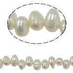 Barock odlad sötvattenspärla pärlor, Freshwater Pearl, vit, 5-6mm, Hål:Ca 0.8mm, Såld Per 14.5 inch Strand