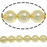 South Sea Shell Beads Round yellow 12mm Approx 0.5mm Sold Per 16 Inch Strand