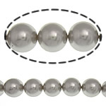 South Sea Shell Beads Round grey 14mm Approx 1mm Sold Per 15.5 Inch Strand