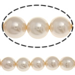 South Sea Shell Beads Round 12mm Approx 0.5mm Sold Per 16 Inch Strand