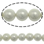 South Sea Shell Beads Round white 10mm Approx 0.5mm Sold Per 15 Inch Strand