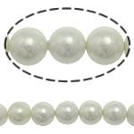 South Sea Shell Beads, Round, white, 12mm, Hole:Approx 0.5mm, 33PCs/Strand, Sold Per 16 Inch Strand