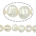 Bulvių išauginti gėlavandenių perlų karoliukai, Gėlo vandens perlų, Bulvė, natūralus, baltas, Įvertinimas, 8-9mm, Skylė:Apytiksliai 0.8mm, Parduota už 14.5 Inch Strand