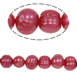 Brambor pěstované sladkovodní perle, Sladkovodní Pearl, přírodní, červený, Grade, 5-6mm, Otvor:Cca 0.8mm, Prodáno za 15 inch Strand
