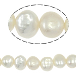 Bulvių išauginti gėlavandenių perlų karoliukai, Gėlo vandens perlų, Bulvė, natūralus, baltas, Įvertinimas, 9-10mm, Skylė:Apytiksliai 0.8mm, Parduota už 15 Inch Strand