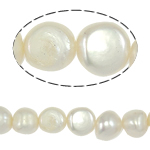 Bulvių išauginti gėlavandenių perlų karoliukai, Gėlo vandens perlų, Bulvė, natūralus, baltas, Įvertinimas, 9-10mm, Skylė:Apytiksliai 0.8mm, Parduota už 14.5 Inch Strand