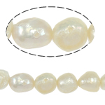 Bulvių išauginti gėlavandenių perlų karoliukai, Gėlo vandens perlų, Bulvė, natūralus, baltas, Įvertinimas, 10-11mm, Skylė:Apytiksliai 0.8mm, Parduota už 14.5 Inch Strand