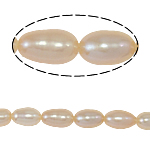 Riso coltivato in perla d'acqua dolce, perla d'acquadolce coltivata naturalmente, naturale, rosa, grado A, 5-6mm, Foro:Appross. 0.8mm, Venduto per 14.5 pollice filo