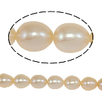 Riso coltivato in perla d'acqua dolce, perla d'acquadolce coltivata naturalmente, naturale, rosa, grado A, 6-7mm, Foro:Appross. 0.8mm, Venduto per 14.5 filo