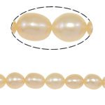 Riso coltivato in perla d'acqua dolce, perla d'acquadolce coltivata naturalmente, naturale, rosa, grado A, 6-7mm, Foro:Appross. 0.8mm, Venduto per 15 pollice filo