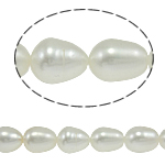 Riso coltivato in perla d'acqua dolce, perla d'acquadolce coltivata naturalmente, naturale, bianco, grado A, 8-9mm, Foro:Appross. 0.8mm, Venduto per 15 pollice filo