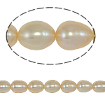 Riso coltivato in perla d'acqua dolce, perla d'acquadolce coltivata naturalmente, naturale, rosa, grado A, 8-9mm, Foro:Appross. 0.8mm, Venduto per 15 pollice filo