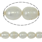 Riso coltivato in perla d'acqua dolce, perla d'acquadolce coltivata naturalmente, naturale, bianco, grado A, 11-12mm, Foro:Appross. 0.8mm, Venduto per 14.5 pollice filo