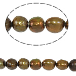 Bulvių išauginti gėlavandenių perlų karoliukai, Gėlo vandens perlų, Bulvė, natūralus, rudas, Įvertinimas, 11-12mm, Skylė:Apytiksliai 0.8mm, Parduota už 15 Inch Strand