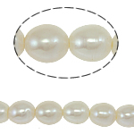 Riso coltivato in perla d'acqua dolce, perla d'acquadolce coltivata naturalmente, naturale, bianco, grado A, 8-9mm, Foro:Appross. 0.8mm, Venduto per 14.5 pollice filo