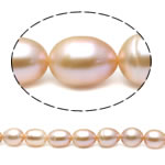 Riso coltivato in perla d'acqua dolce, perla d'acquadolce coltivata naturalmente, naturale, rosa, grado A, 10-11mm, Foro:Appross. 0.8mm, Venduto per 15.5 pollice filo