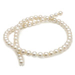 Perles de nacre rondes de culture d'eau douce, perle d'eau douce cultivée, naturel, blanc, grade AAA, 6.5-7mm, Trou:Environ 0.8mm, Vendu par 15.5 pouce brin