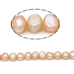 Bulvių išauginti gėlavandenių perlų karoliukai, Gėlo vandens perlų, Bulvė, natūralus, rožinis, Įvertinimas A., 7-8mm, Skylė:Apytiksliai 0.8mm, Parduota už 15 Inch Strand