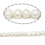 Bulvių išauginti gėlavandenių perlų karoliukai, Gėlo vandens perlų, Bulvė, natūralus, baltas, Įvertinimas A., 8-9mm, Skylė:Apytiksliai 0.8mm, Parduota už 15 Inch Strand