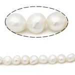 Bulvių išauginti gėlavandenių perlų karoliukai, Gėlo vandens perlų, Bulvė, natūralus, baltas, Įvertinimas A., 9-10mm, Skylė:Apytiksliai 0.8mm, Parduota už 15 Inch Strand