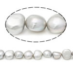 Baroko Kultūringas gėlavandenių perlų karoliukai, Gėlo vandens perlų, pilkas, Įvertinimas A., 10-11mm, Skylė:Apytiksliai 0.8mm, Parduota už 15 Inch Strand