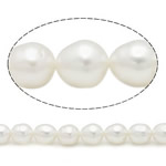 Riso coltivato in perla d'acqua dolce, perla d'acquadolce coltivata naturalmente, naturale, bianco, grado A, 6mm, Foro:Appross. 0.8mm, Venduto per 15 pollice filo