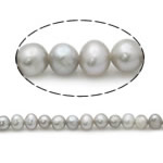 Bulvių išauginti gėlavandenių perlų karoliukai, Gėlo vandens perlų, Bulvė, natūralus, pilkas, Įvertinimas A., 3-4mm, Skylė:Apytiksliai 0.8mm, Parduota už 15 Inch Strand
