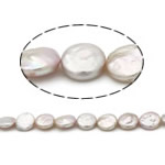 Monetų Kultūringas gėlavandenių perlų karoliukai, Gėlo vandens perlų, rožinis, Įvertinimas A., 11-12mm, Skylė:Apytiksliai 0.8mm, Parduota už 15 Inch Strand