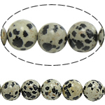Dalmatian Beads, dalmata, Cerchio, naturale, 4mm, Foro:Appross. 0.8mm, Lunghezza Appross. 15 pollice, 10Strandstrefolo/lotto, Appross. 90PC/filo, Venduto da lotto