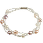 Sötvatten odlade Pearl Bracelet, Freshwater Pearl, med Glass Seed Beads, järn skruva lås, 5-6mm, Såld Per 7.5 inch Strand