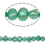 Baroko Kultūringas gėlavandenių perlų karoliukai, Gėlo vandens perlų, žalias, 5-6mm, Skylė:Apytiksliai 0.8mm, Parduota už 14.5 Inch Strand