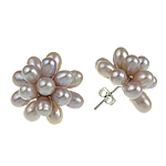 Freshwater Pearl Earrings iron post pin Flower pink 20mm Sold By Pair