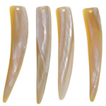 Φυσικό Abalone Shell Μενταγιόν, 7.5-8.5x45-47x2.5-3mm, Τρύπα:Περίπου 1.5mm, 20PCs/τσάντα, Sold Με τσάντα