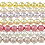 South Sea Shell Beads Round mixed colors 8mm Approx 0.8mm Length Approx 16 Inch  Sold By Bag