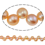 Monetų Kultūringas gėlavandenių perlų karoliukai, Gėlo vandens perlų, rožinis, 7-8mm, Skylė:Apytiksliai 0.8mm, Parduota už 15 Inch Strand