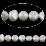 Barock odlad sötvattenspärla pärlor, Freshwater Pearl, purpur, Grade A, 10-11mm, Hål:Ca 0.8mm, Såld Per 15 inch Strand